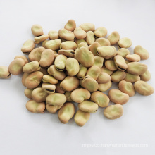 2020 new crop High quality broad beans Qinghai origin whole fava beans in shell